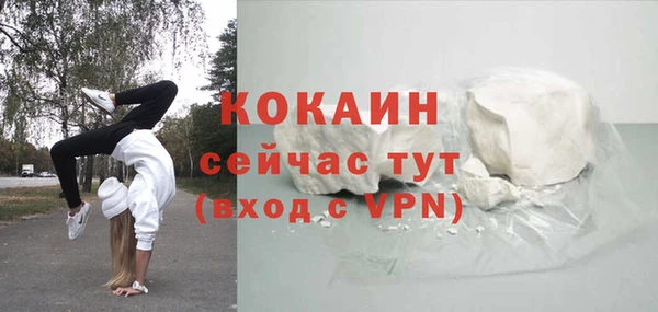 тгк Абаза