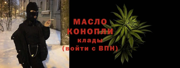 тгк Абаза