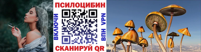 mega как зайти  Зубцов  Псилоцибиновые грибы мухоморы 
